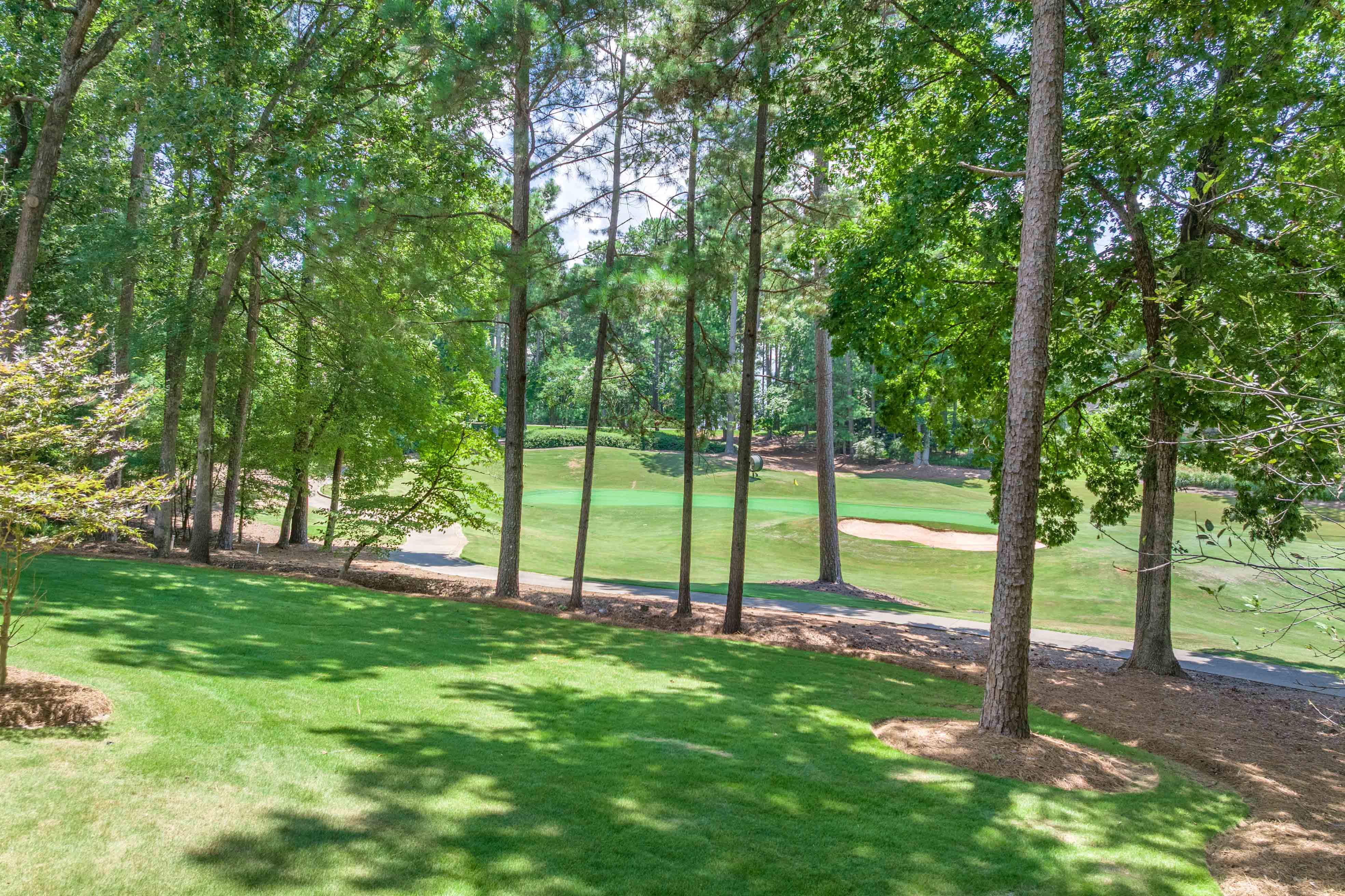 1131 Scull Shoals Drive image 48